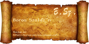 Boros Szolón névjegykártya